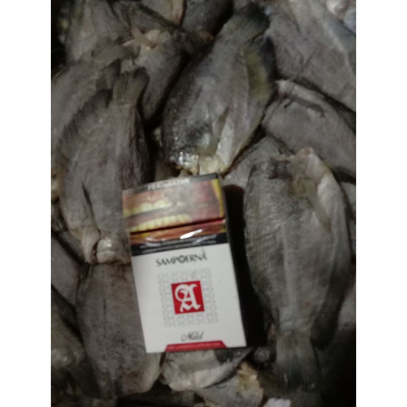 

sepatSiam-1kg-55rb-ukuran-besar