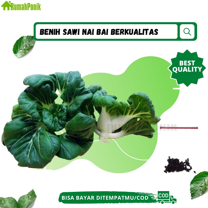 Bibit Sawi Nai Bai (Baby Pakchoy) | Benih Sawi Nai Bai (Toy Choy) | Bibit Benih Nai Bai