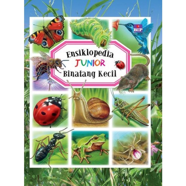 Ensiklopedia Junior : Binatang Kecil