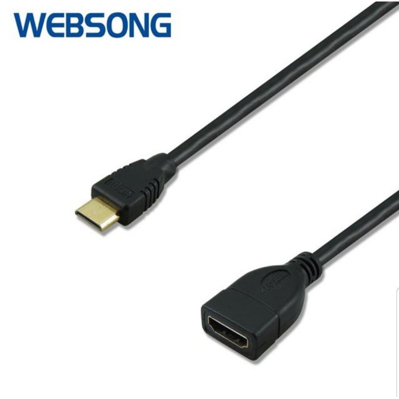 Kabel HDMI Type A Female to HDMI Mini Type C Male 1080P Websong