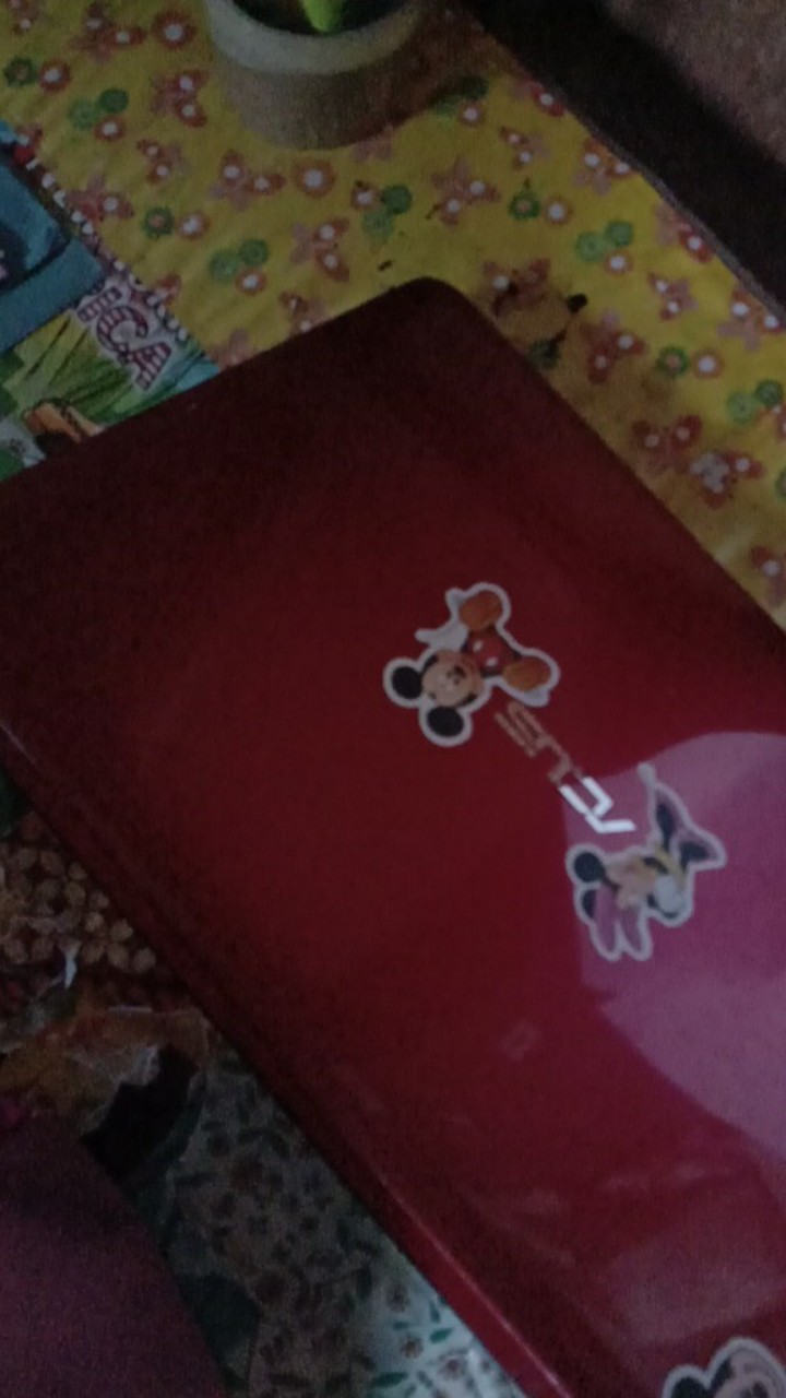 Wallpaper Sticker Dinding Grosir Murah Pink Bunga Mawar Merah Maroon Daun Silver Elegant Cantik