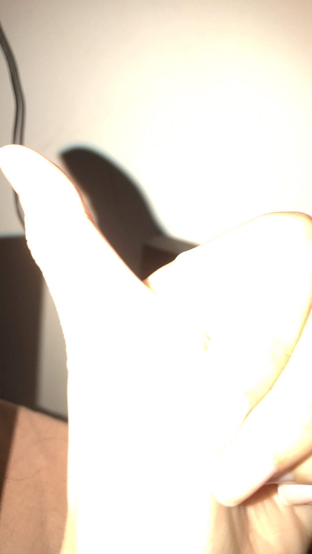 Daster Bu Tejo Batik Solo Pekalongan Kampus Hargo Dumilah Jessa Canting Indonesia