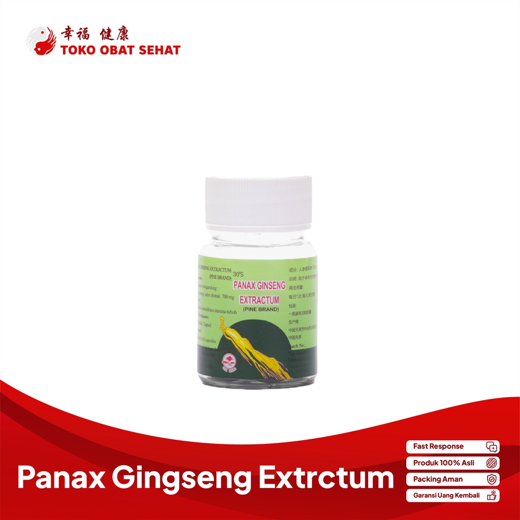 PANAX GINSENG CAPSULES vitamin ekstrak ginseng herbal