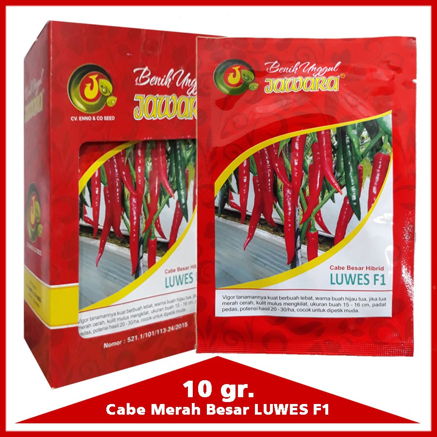 TERBAIK 10GR BIBIT CABE CABAI MERAH BESAR UNGGUL LUWES F1 - BENIH CABE MERAH