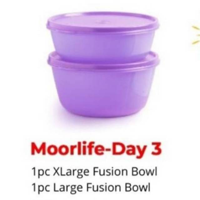 CIOTOLLA MOORLIFE Rp.265.000