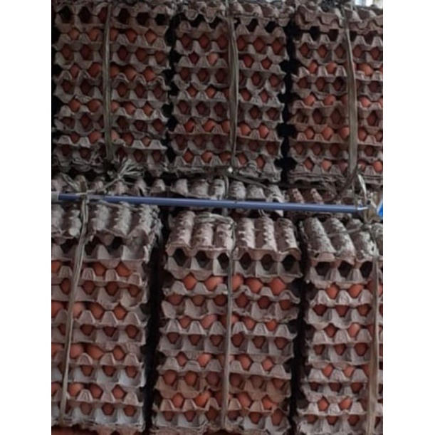 

telur
