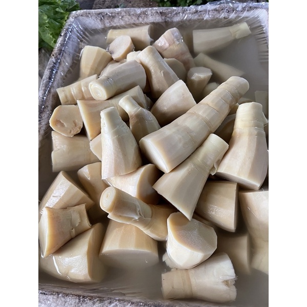 

rebung (bambu muda)