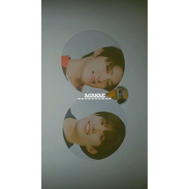 CC SEMICOLON DINO DK WONWOO
