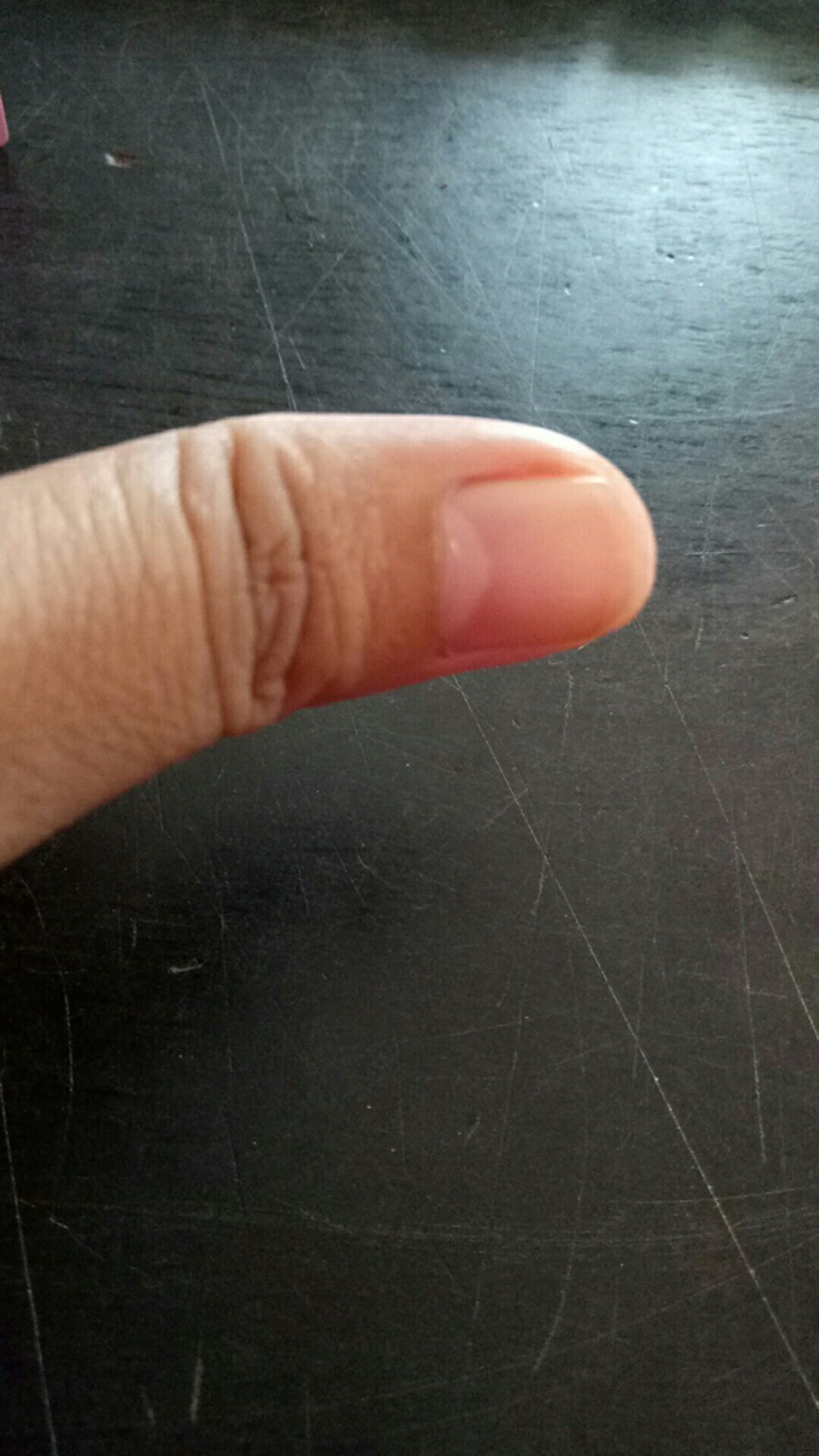 (nilai Terbaik) Payung Lipat Mini Anti Sinar Uv Untuk Wanita/hujan/panas