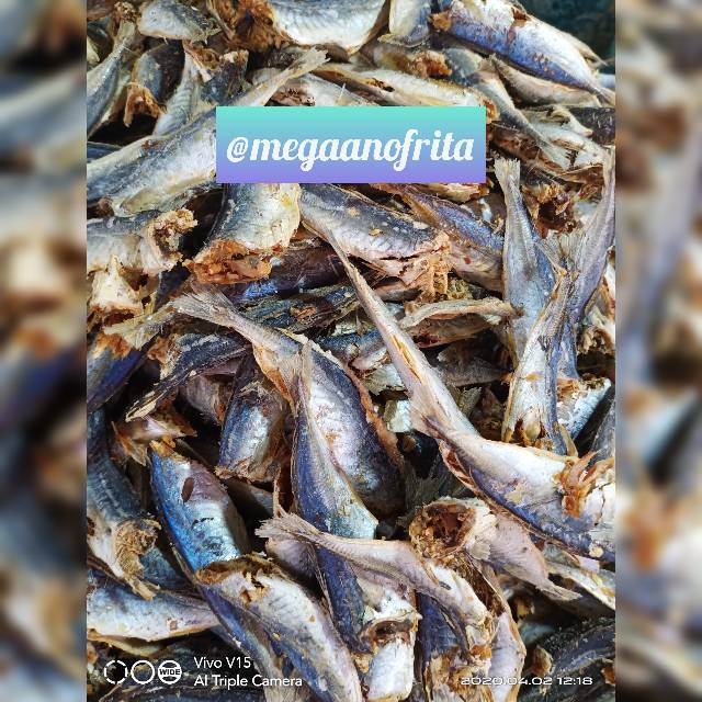 

IKAN TAMBAN BESAR 100 GRAM