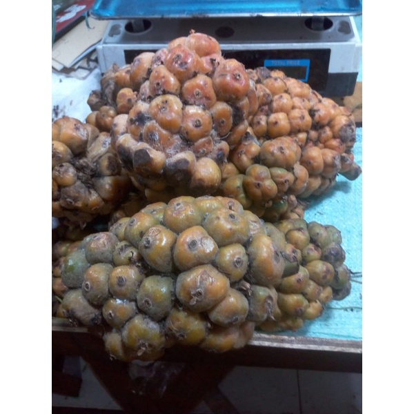 

Asam Cikala/ Patikala