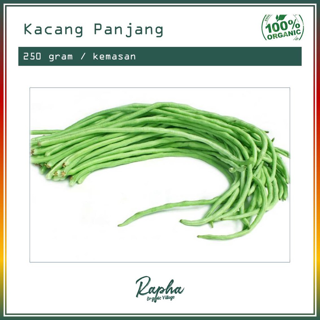 

Kacang Panjang Organik
