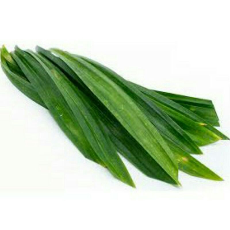 

Daun pandan wangi 1 iket isi 15 pcs/lembar