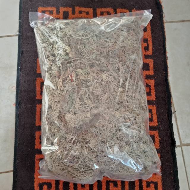 Spagnum mos 200g (mos putih)