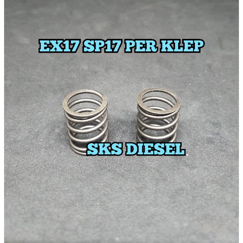 EX17 Spring Per Klep Mesin Robin Subaru Original