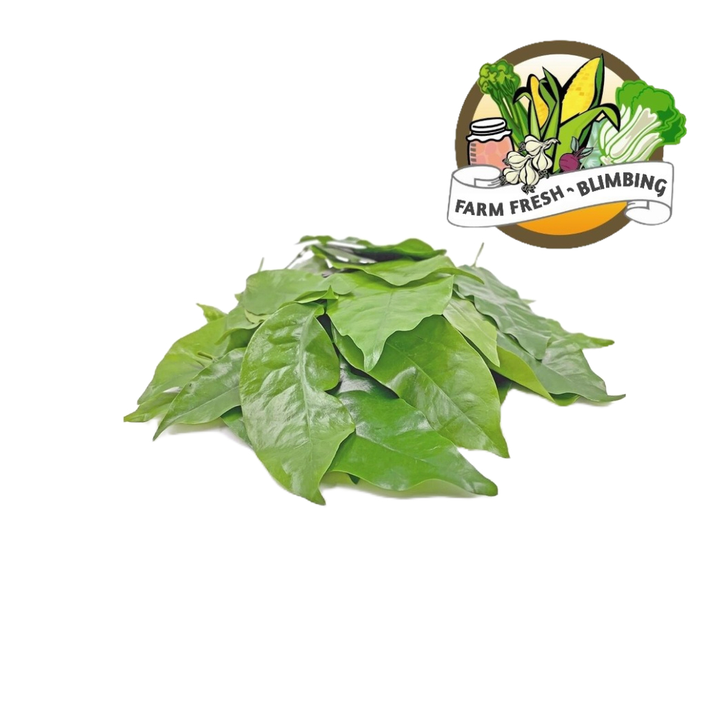 

Daun Melinjo 100gr