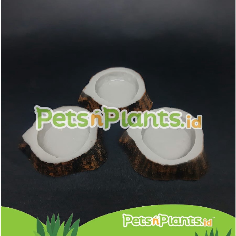 Tempat Makan Minum - Water Dish Reptil Ular Gecko Iguana Hamster Kecil