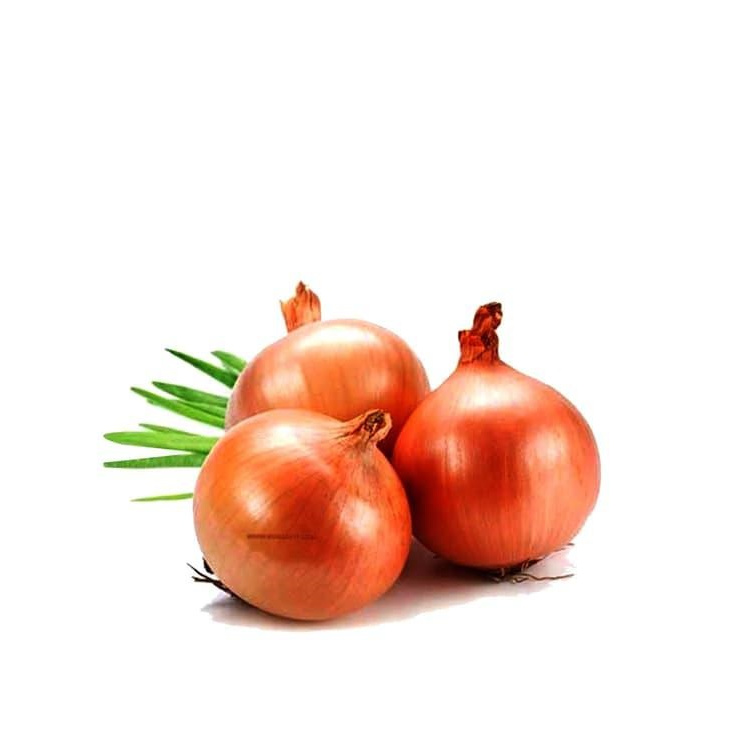 

Bawang Bombai Bawang Bombay Segar Bumbu Masakan Sayuran Segar Fresh 500 Gram