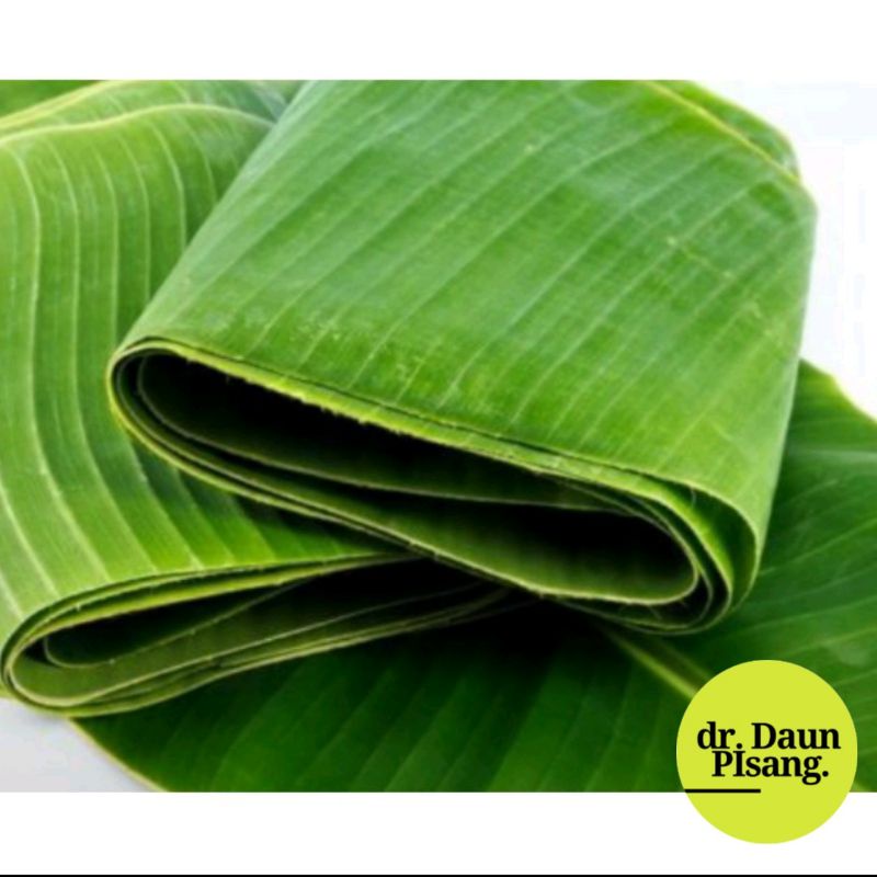 

Daun Pisang Segar