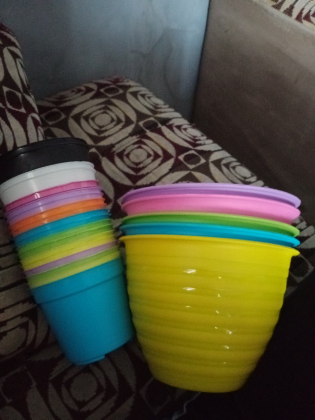 Pot Bunga Tanaman Mdn Warna Warni 18cm Model Tawon - Mdn