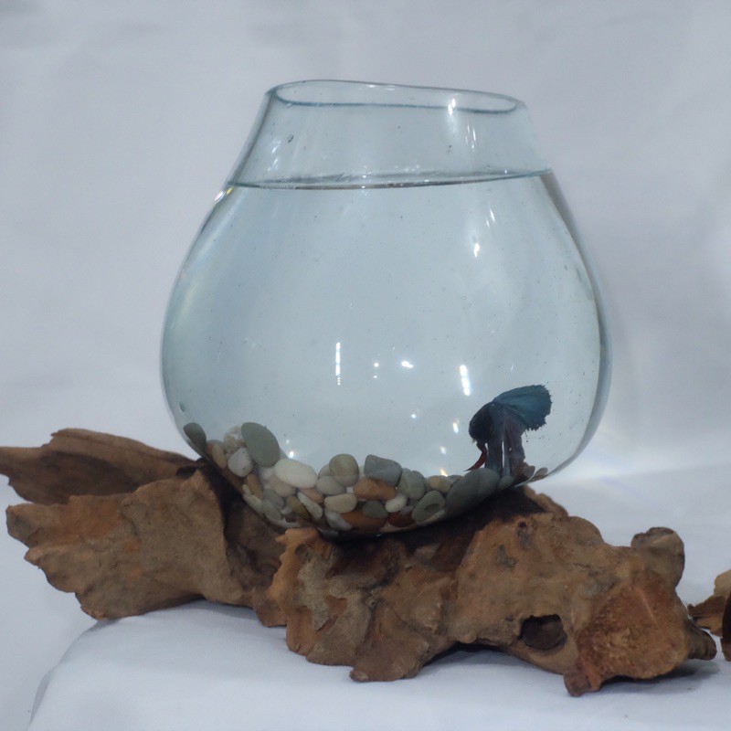 Aquarium Cupang Fishbowl Kayu ukuran M