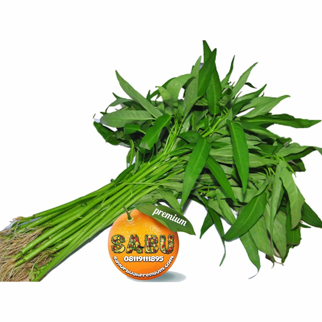 

Sayur Kankung Segar