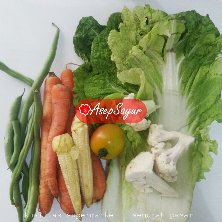 

PAKET SAYUR SOP per PAK ASEPSAYUR Bandung