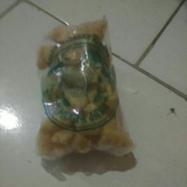 Tanaman Kerokot Kuning / Pohon Kerokot / Tanaman Krokot