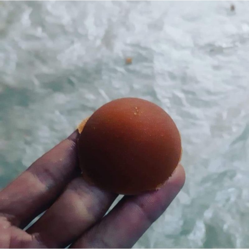 

gula merah kelapa