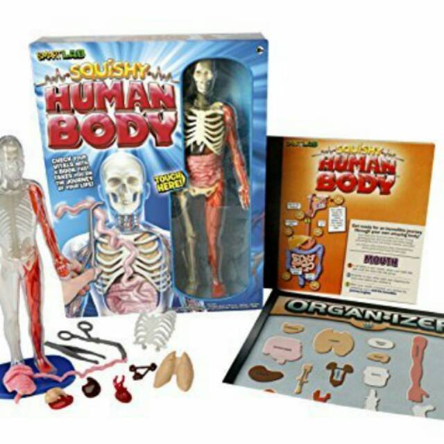 Squishy Human Body Shopee Indonesia