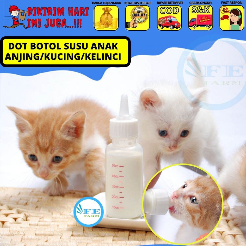 DOT ANAK KUCING ALAT MINUM BOTOL KUCING ANJING KELINCI FEFARM