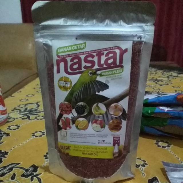 

NASTAR PLECI