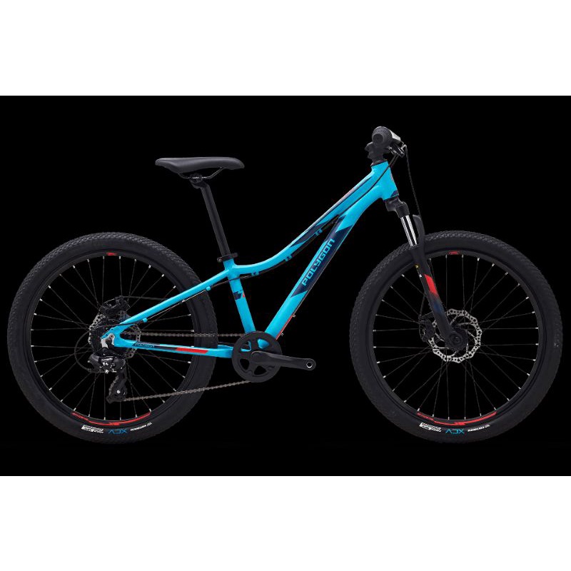 Polygon RELIC 24 Baru