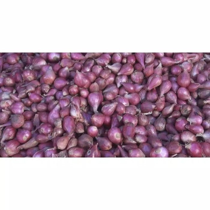 

Bawang Merah