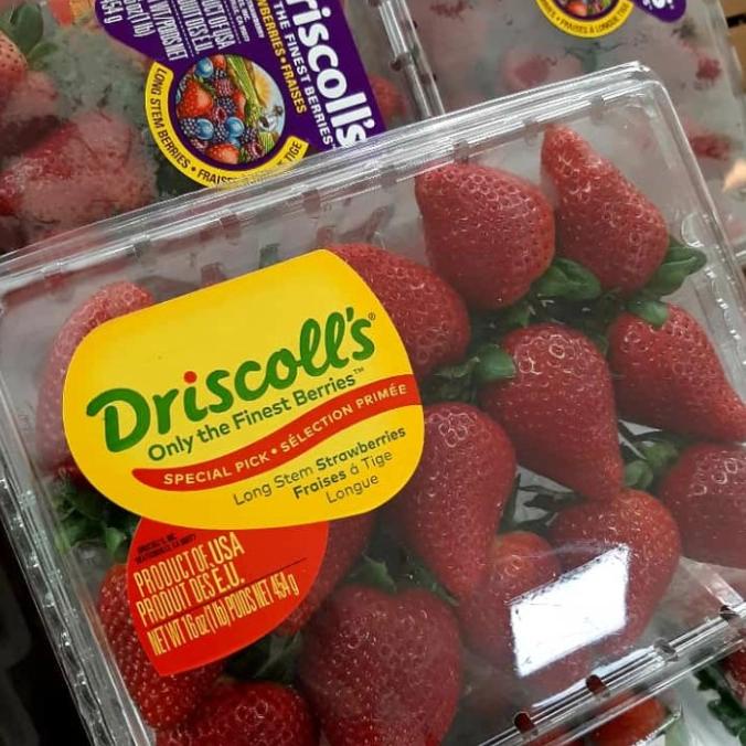 

] Driscoll's USA Strawberries 425g strawberry driscolls jumbo import