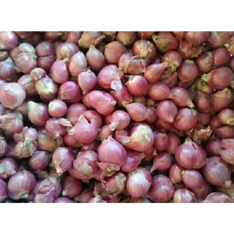 

BAWANG MERAH