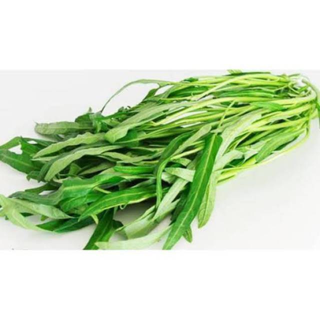 

Sayur Kangkung Paling Murah 1 Ikat