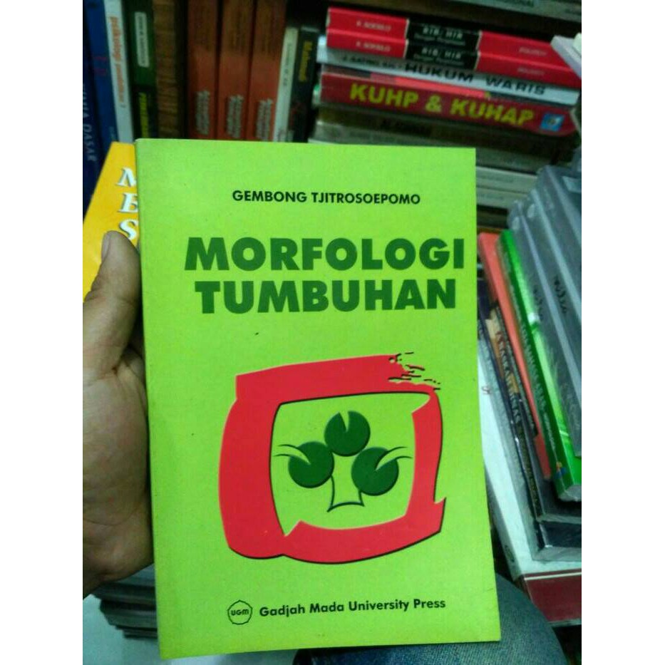  BUKU MORFOLOGI  TUMBUHAN GEMBONG PDF