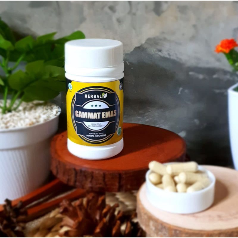 Gamat Emas Teripang Gold Gamat Mas Asli 60 Kapsul Herbal Reaksi Cepat stlah 0perasi