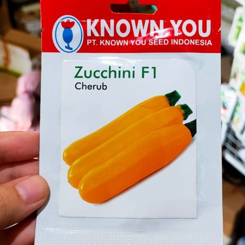 KYS - benih ZUCHINI KUNING CHERUB isi 7 biji - known you seed