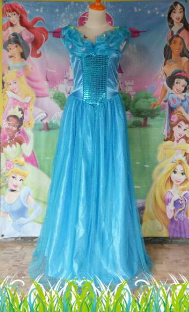 Princess Cinderella Butterfly Dewasa/Baju Kostum Princess Cinderella Butterfly/Cosplay Princess Disn