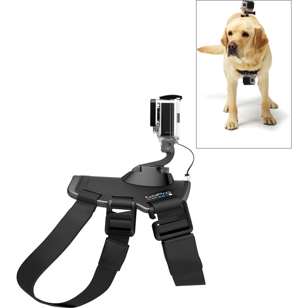 GoPro Fetch Dog Harness