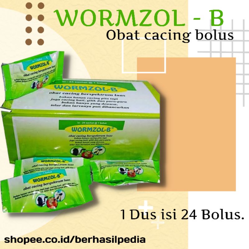 Jual OBAT CACING BOLUS WORMZOL B 1 Dus 24 BOLUS | Shopee Indonesia