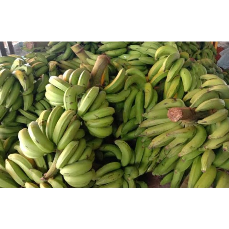 

Pisang Nangka