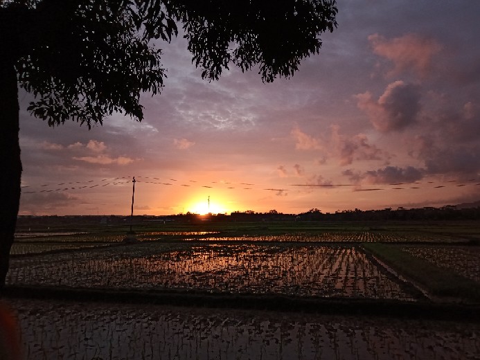 Odza Kemeja Batik Fashion Murah Baju Pria Lengan Panjang Seragam Batik Keluarga