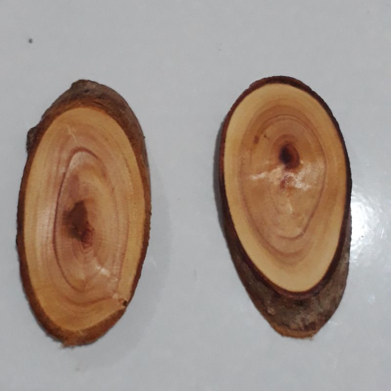 Wood Slicer / Potongan Kayu Dekor
