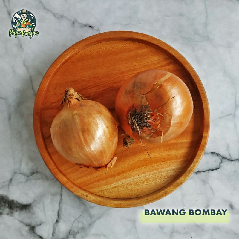 Bombay | Bawang Bombay Merah | Bombay Iris Satuan
