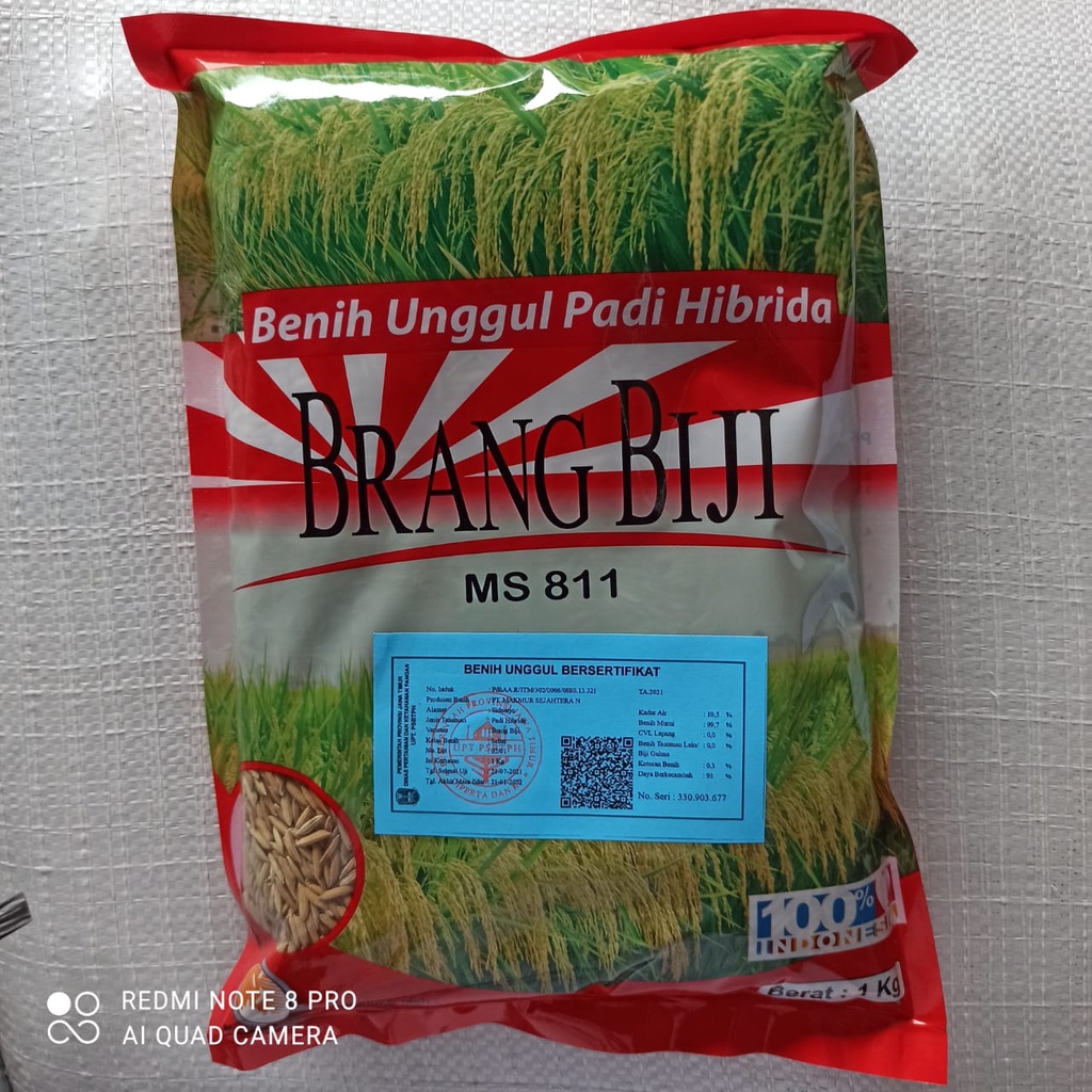 BENIH PADI HIBRIDA BRANG BIJI