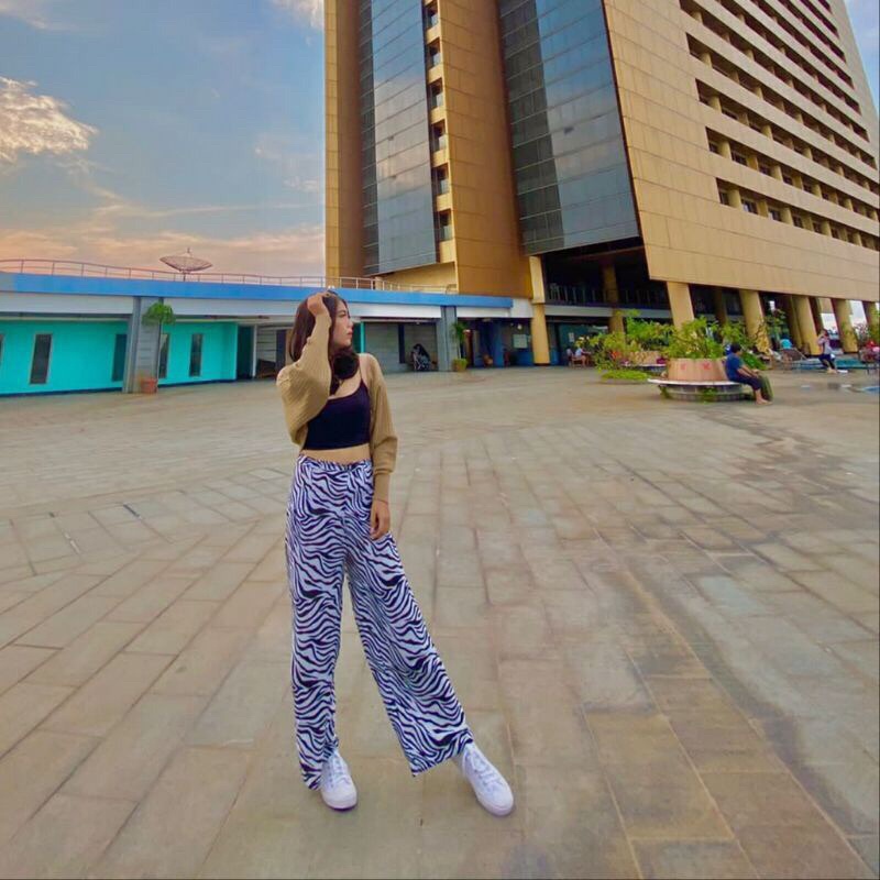 celana wanita/ Celana Kulot / Celana Kulot Premium / Kulot Highwaist / Celana Kulot Zebra / Kulot Ze