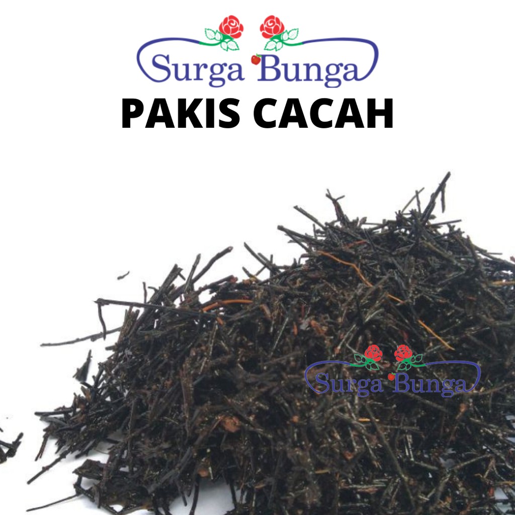 Media Tanam Pakis Cacah REPACK - tanaman hias - 300 gr